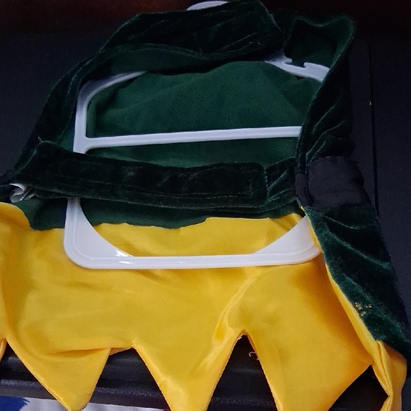 Elf Costume - Picture 2 of 2